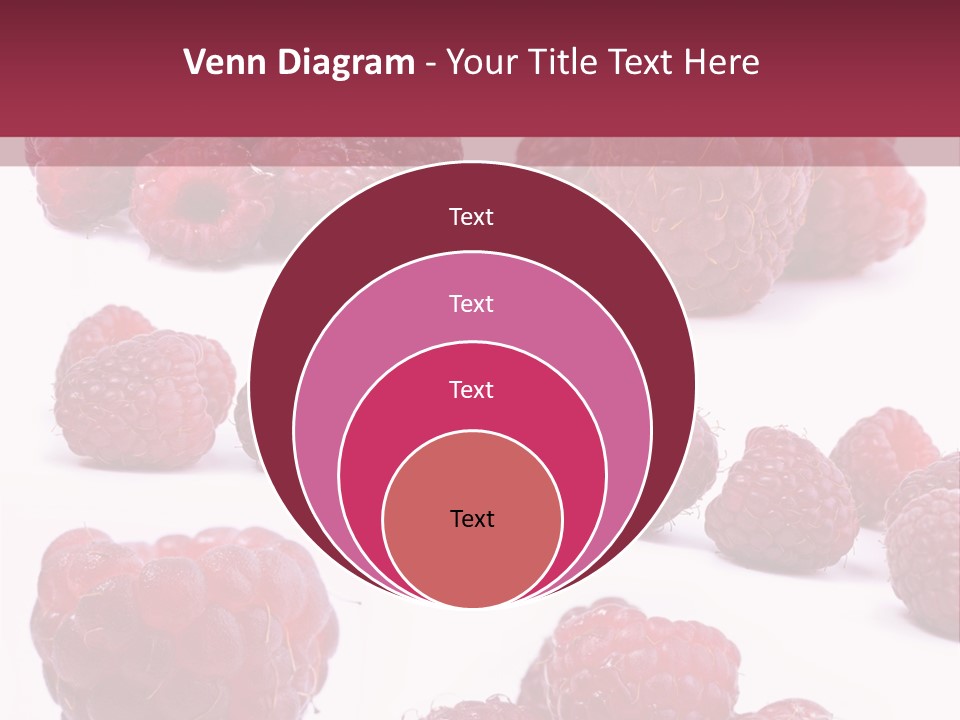 Drops Vegetarian Raspberry PowerPoint Template