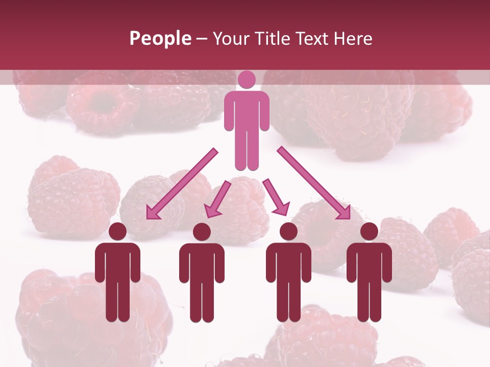 Drops Vegetarian Raspberry PowerPoint Template