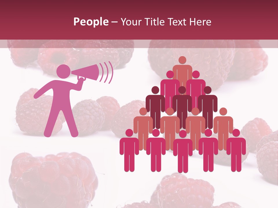 Drops Vegetarian Raspberry PowerPoint Template