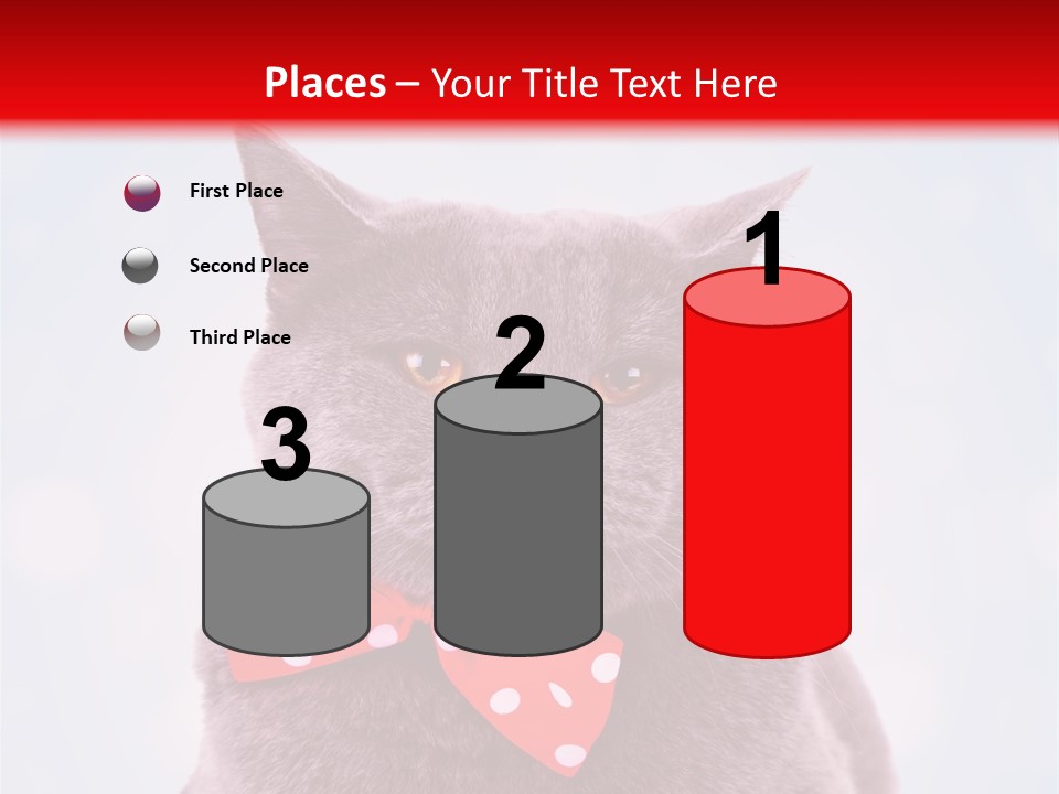 Whisker Kitten Isolated PowerPoint Template