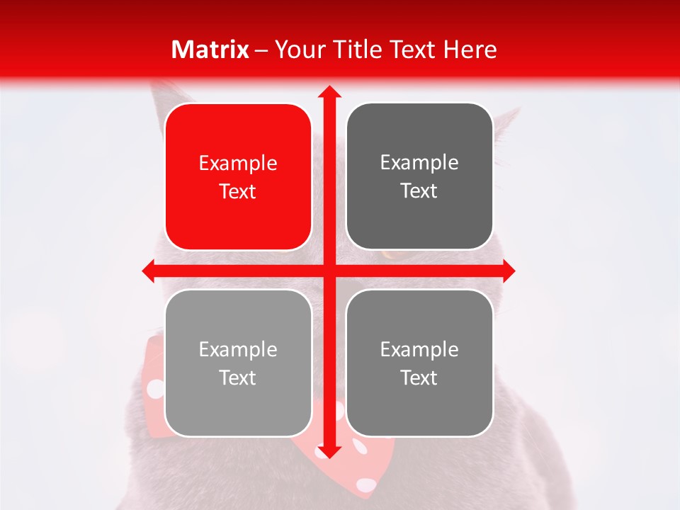 Whisker Kitten Isolated PowerPoint Template