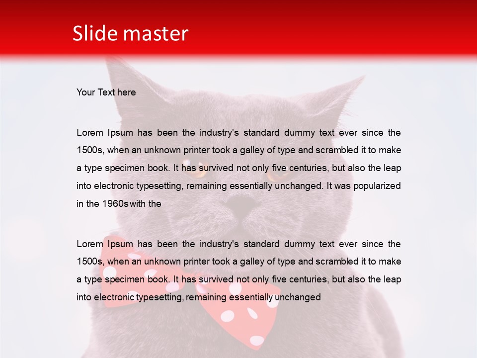 Whisker Kitten Isolated PowerPoint Template