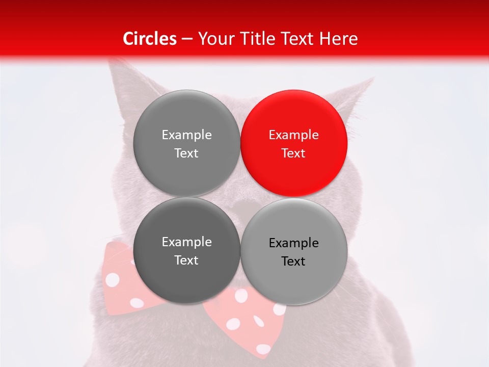 Whisker Kitten Isolated PowerPoint Template