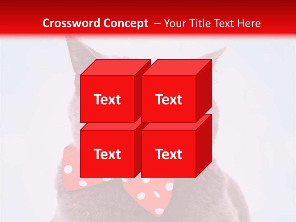 Whisker Kitten Isolated PowerPoint Template