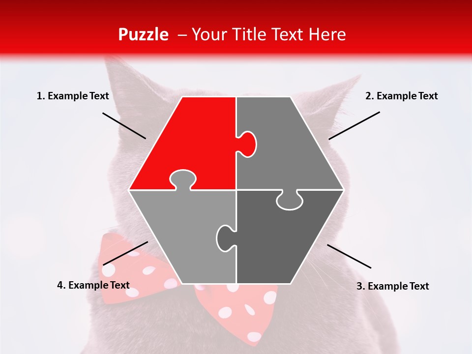 Whisker Kitten Isolated PowerPoint Template