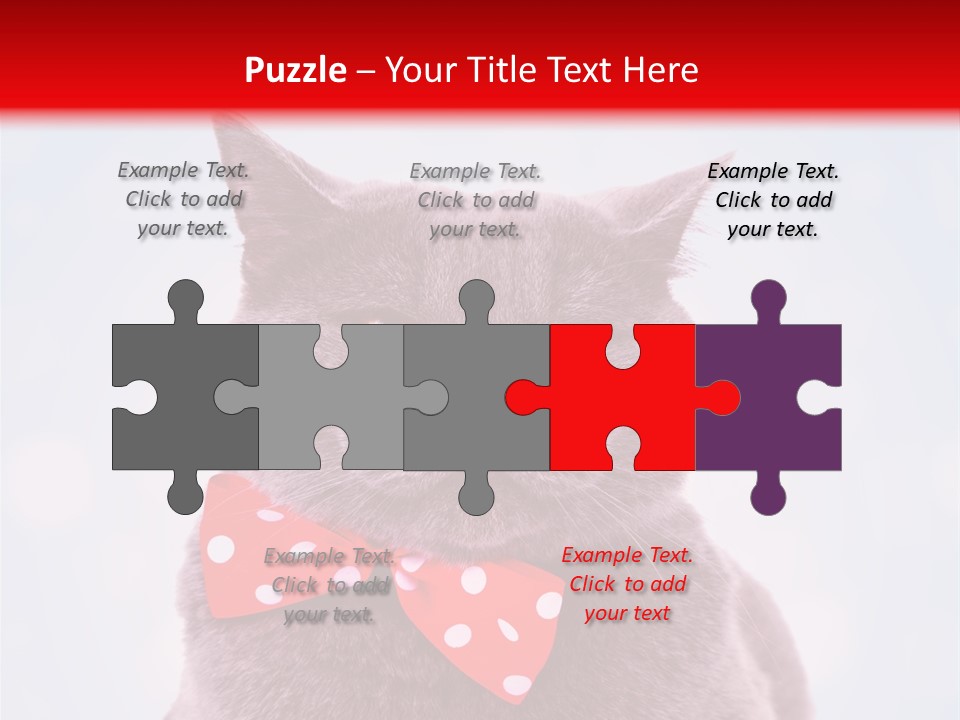 Whisker Kitten Isolated PowerPoint Template