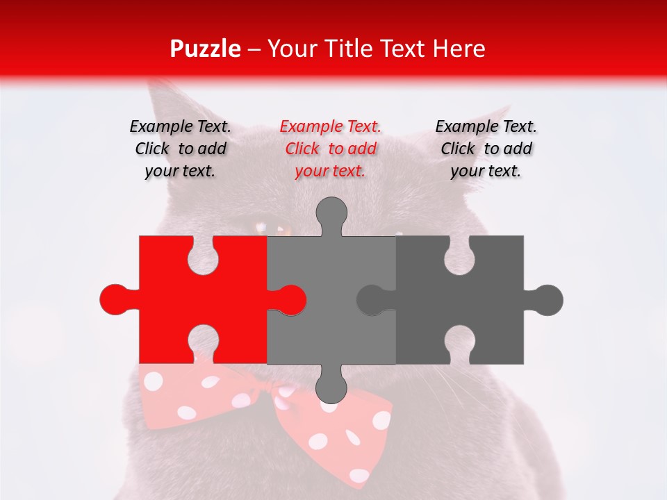 Whisker Kitten Isolated PowerPoint Template