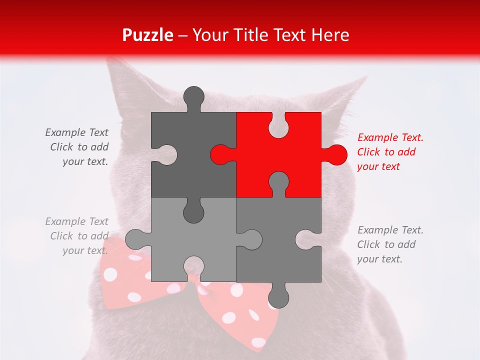 Whisker Kitten Isolated PowerPoint Template