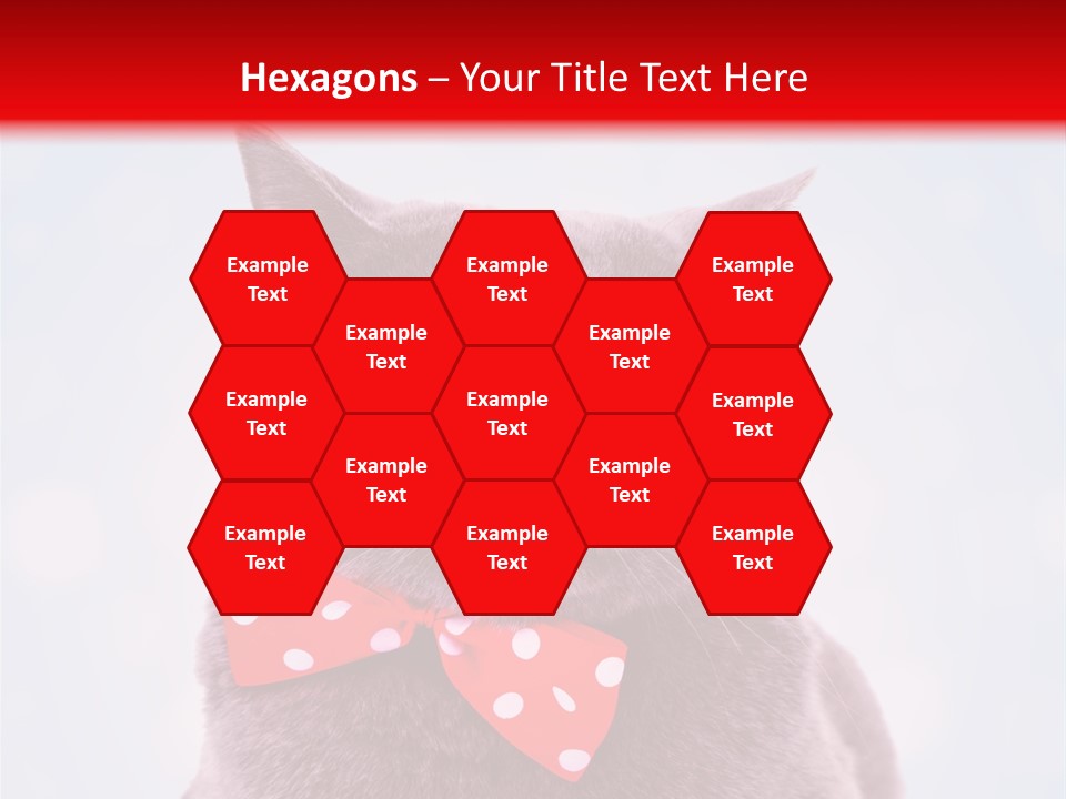 Whisker Kitten Isolated PowerPoint Template