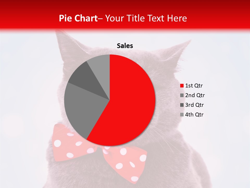 Whisker Kitten Isolated PowerPoint Template