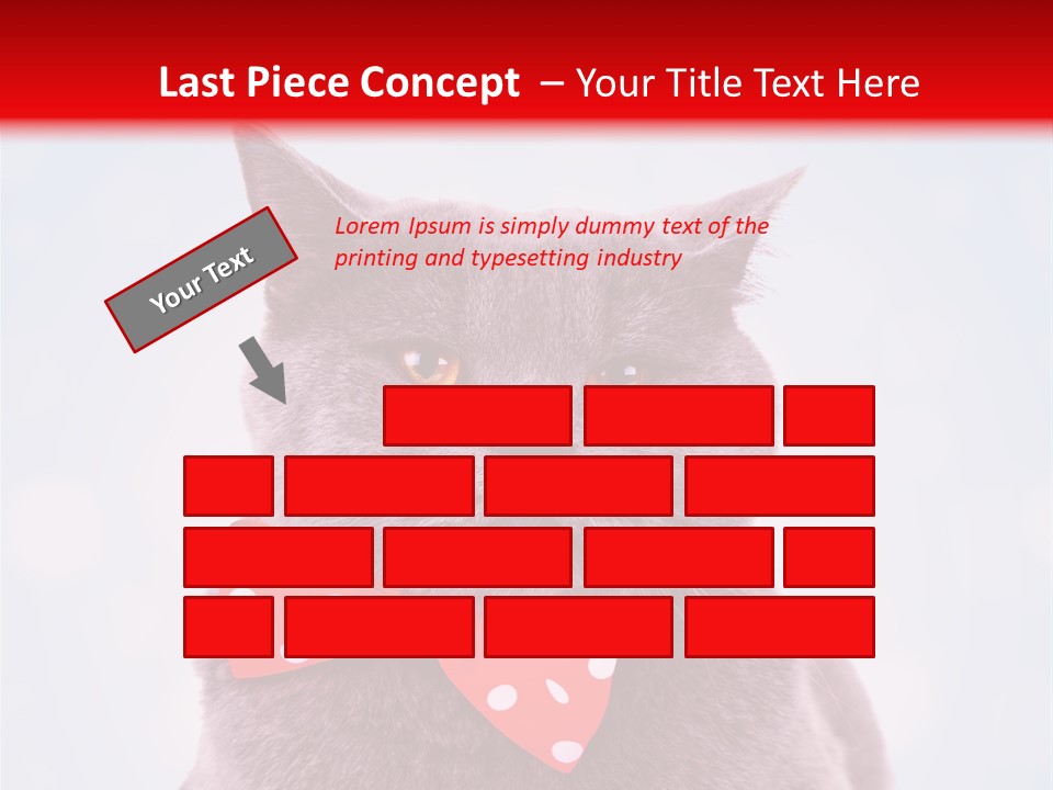 Whisker Kitten Isolated PowerPoint Template