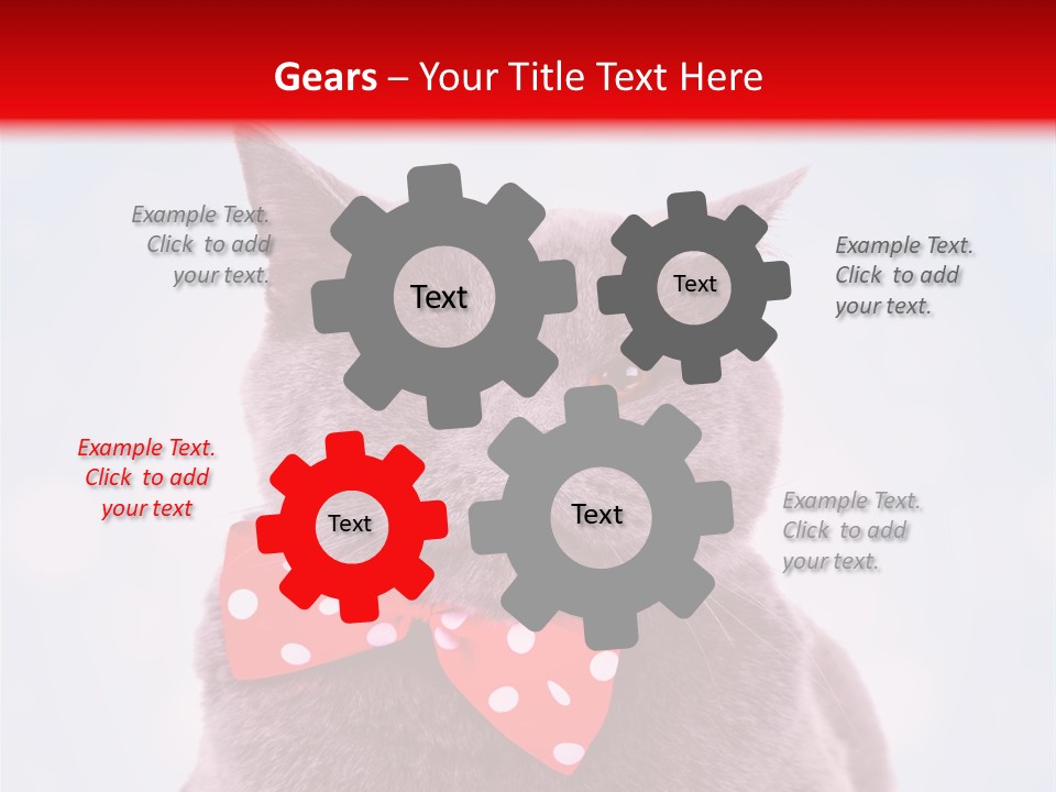 Whisker Kitten Isolated PowerPoint Template