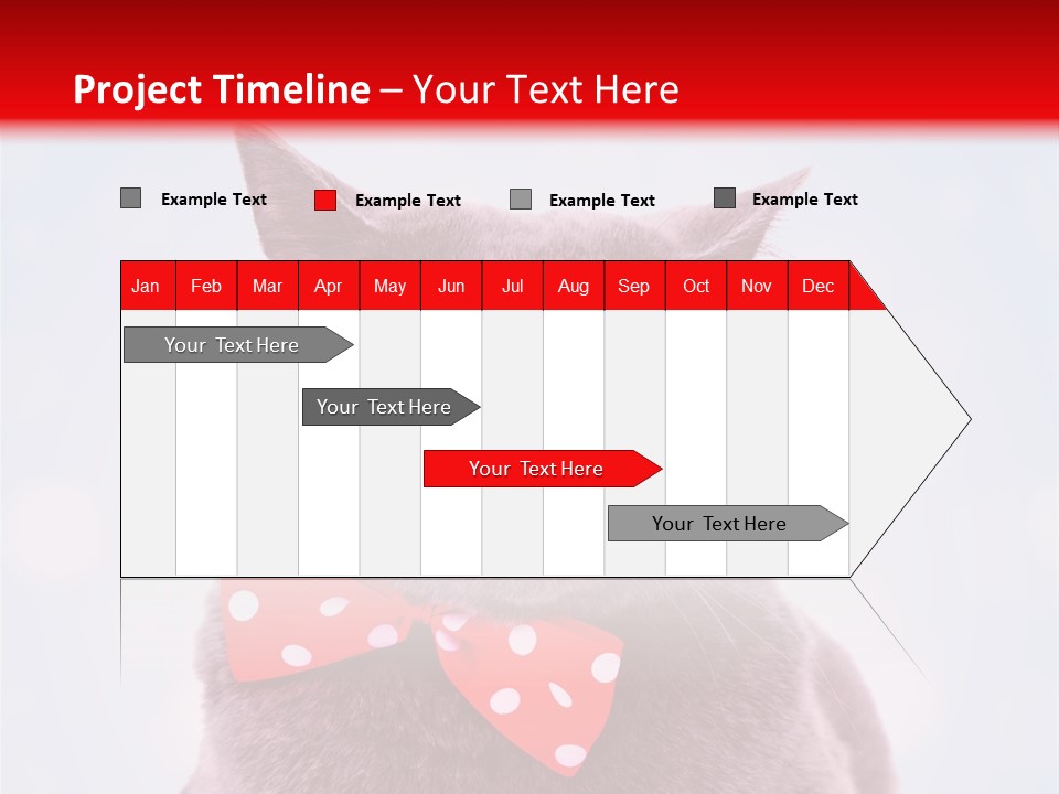 Whisker Kitten Isolated PowerPoint Template