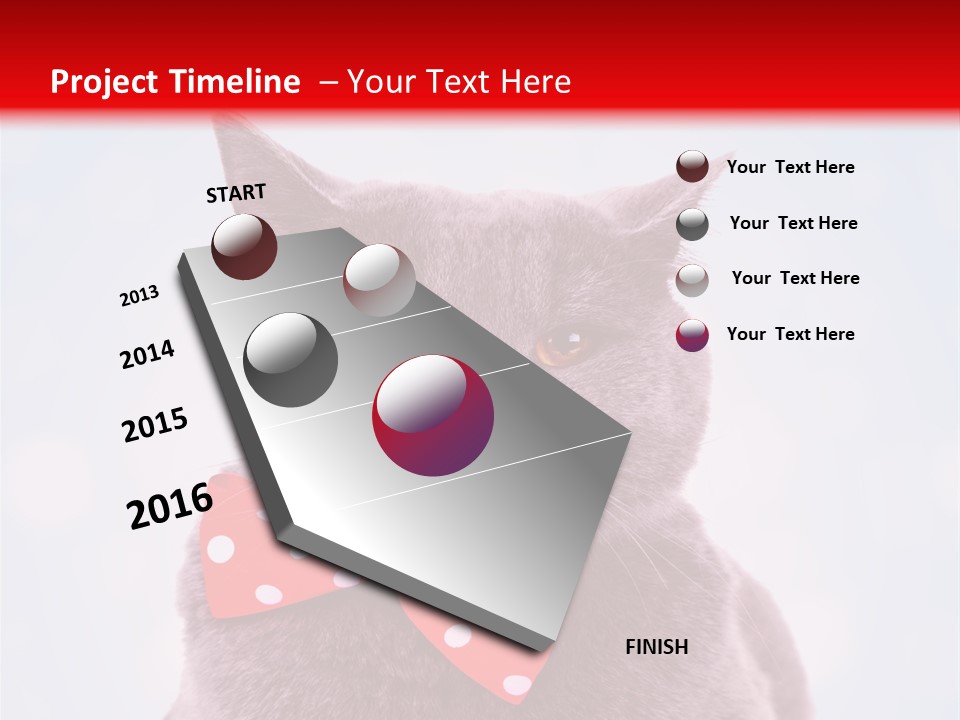 Whisker Kitten Isolated PowerPoint Template