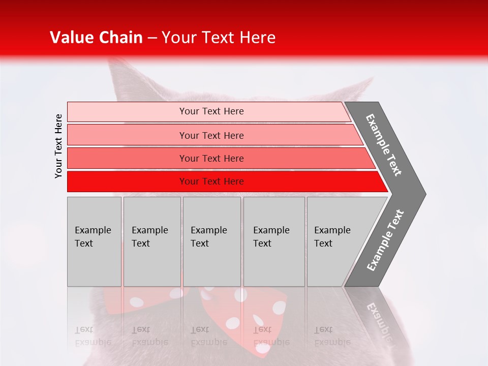 Whisker Kitten Isolated PowerPoint Template