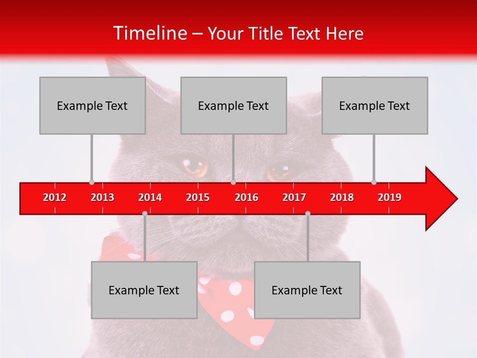 Whisker Kitten Isolated PowerPoint Template