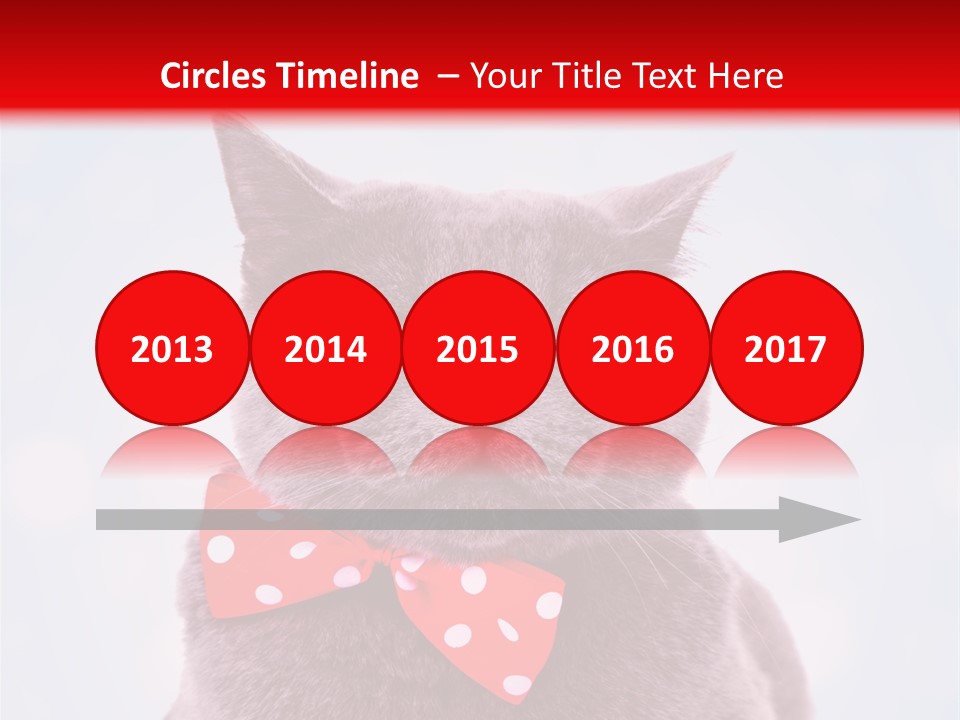 Whisker Kitten Isolated PowerPoint Template