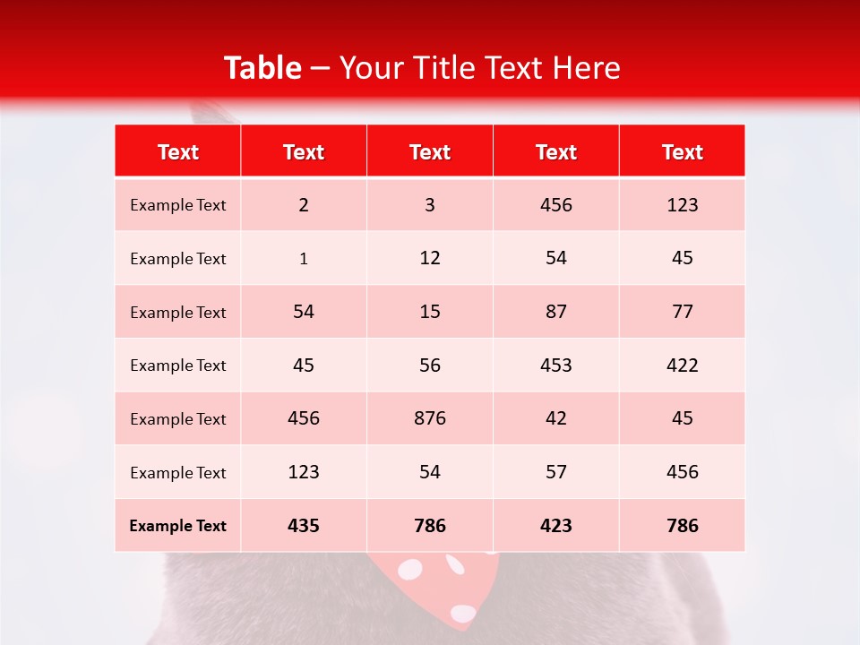 Whisker Kitten Isolated PowerPoint Template