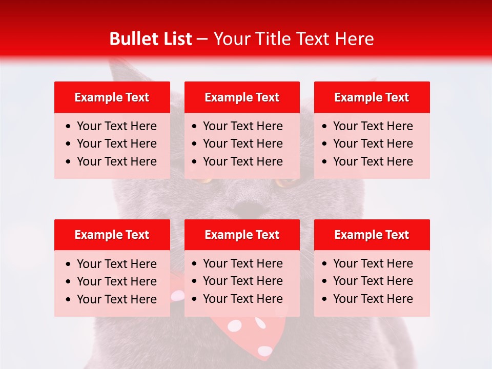 Whisker Kitten Isolated PowerPoint Template