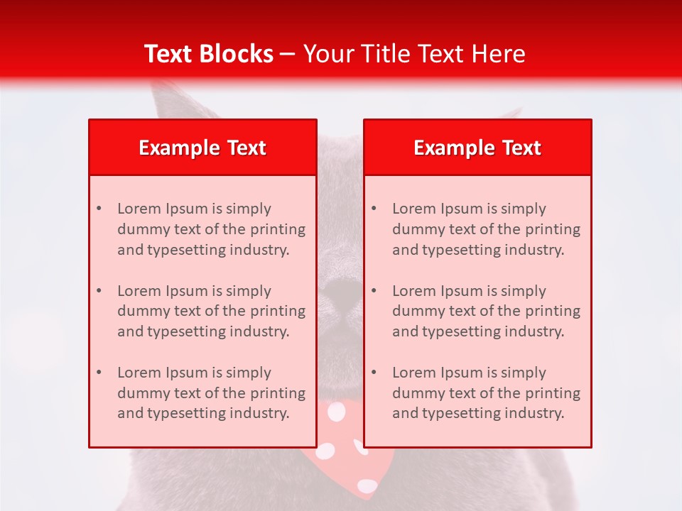 Whisker Kitten Isolated PowerPoint Template