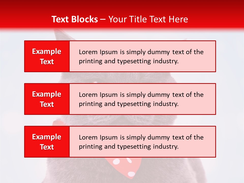 Whisker Kitten Isolated PowerPoint Template