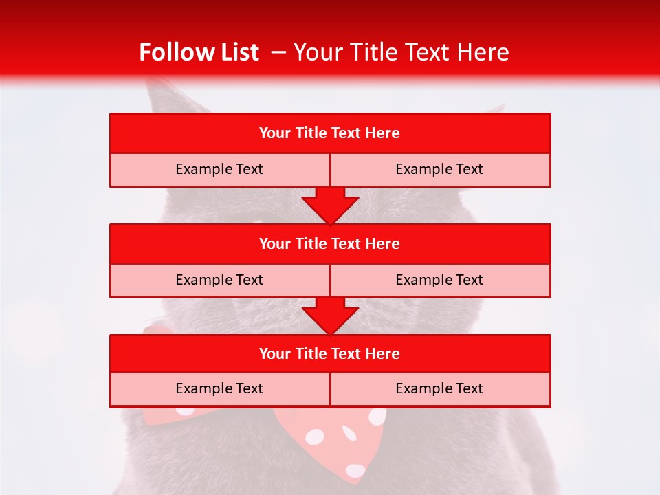 Whisker Kitten Isolated PowerPoint Template