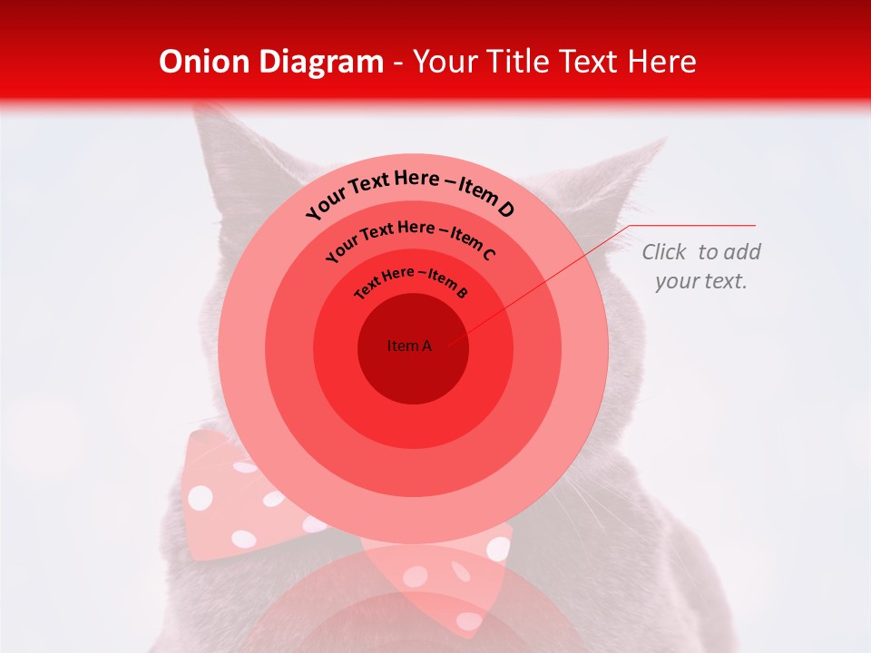 Whisker Kitten Isolated PowerPoint Template