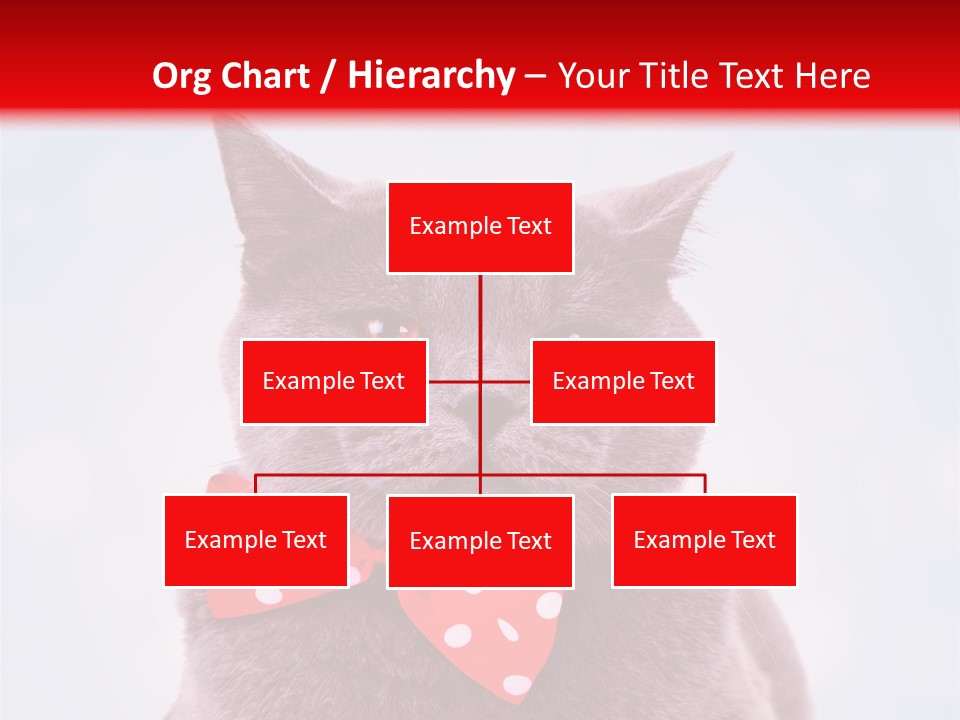 Whisker Kitten Isolated PowerPoint Template