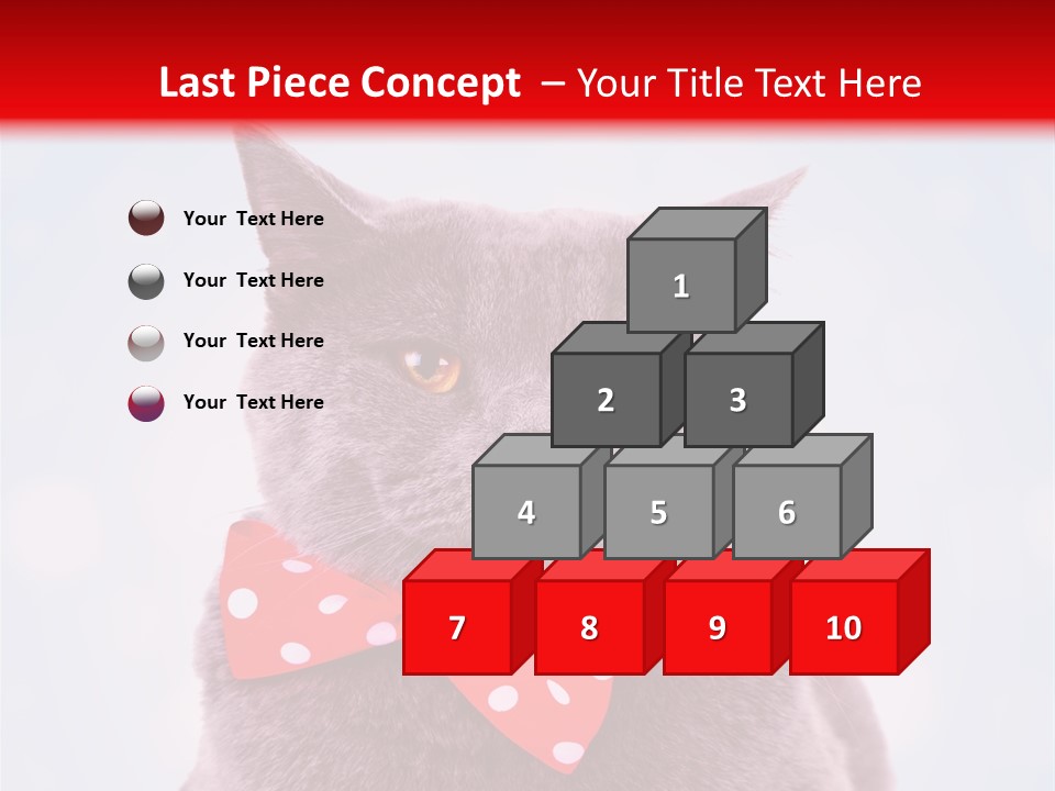 Whisker Kitten Isolated PowerPoint Template