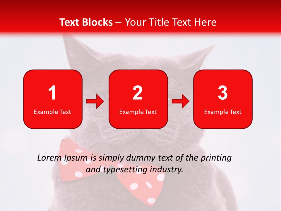 Whisker Kitten Isolated PowerPoint Template