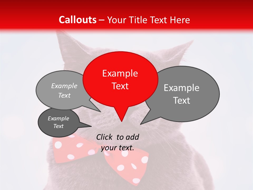 Whisker Kitten Isolated PowerPoint Template