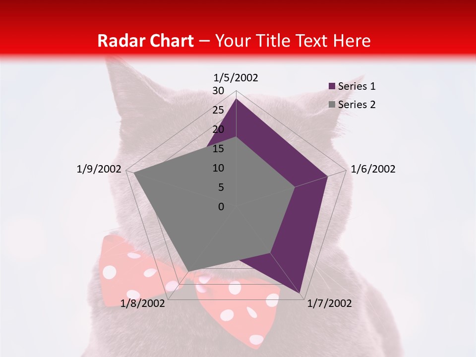 Whisker Kitten Isolated PowerPoint Template