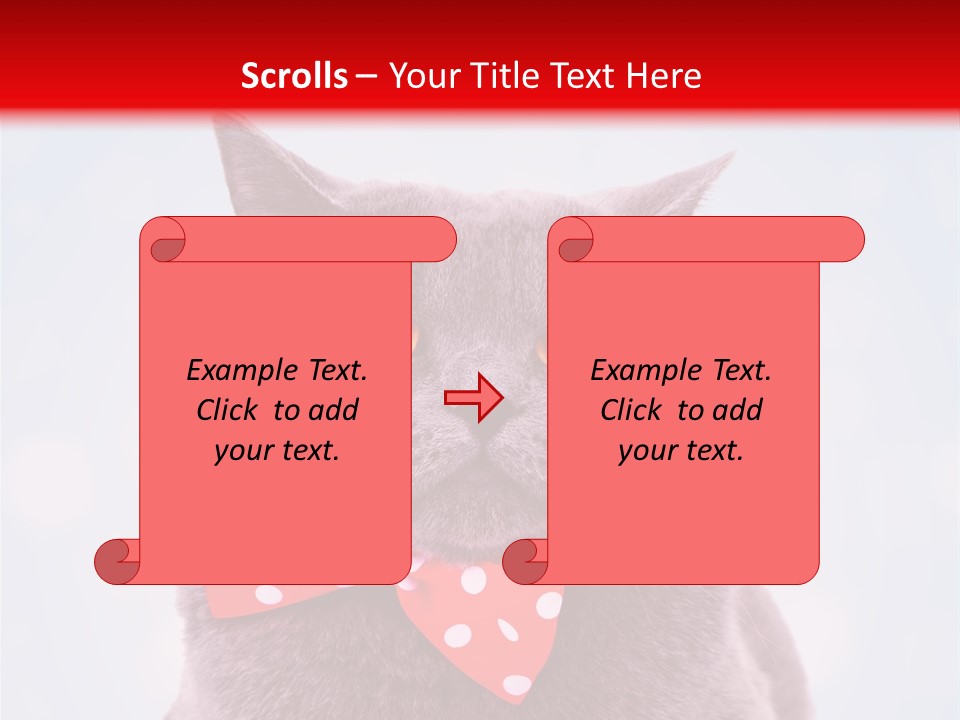 Whisker Kitten Isolated PowerPoint Template
