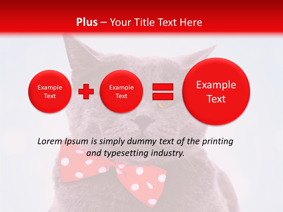 Whisker Kitten Isolated PowerPoint Template