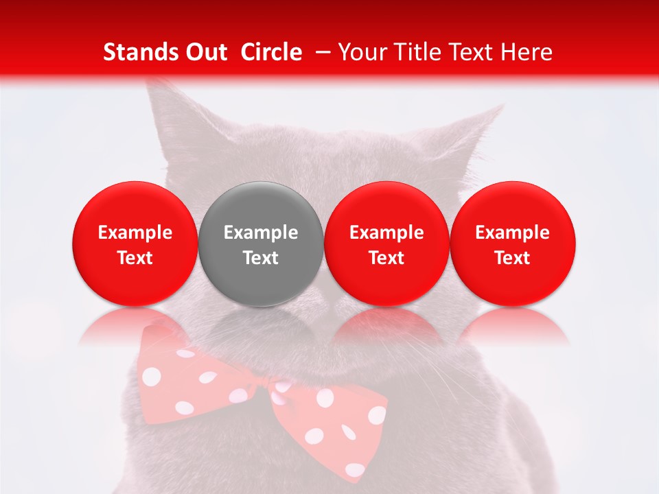 Whisker Kitten Isolated PowerPoint Template