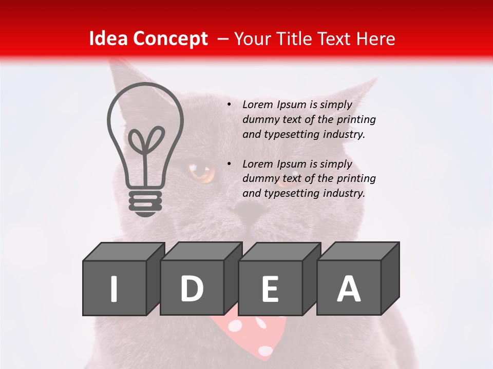 Whisker Kitten Isolated PowerPoint Template