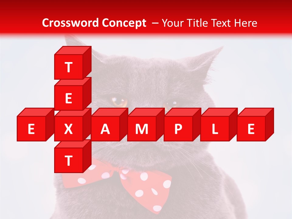 Whisker Kitten Isolated PowerPoint Template