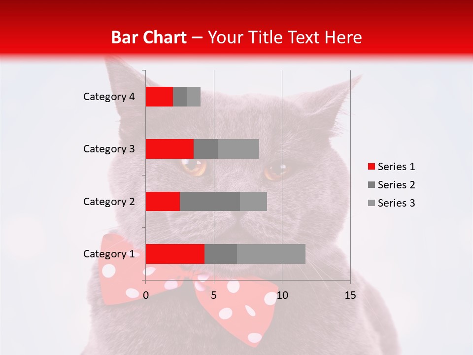 Whisker Kitten Isolated PowerPoint Template