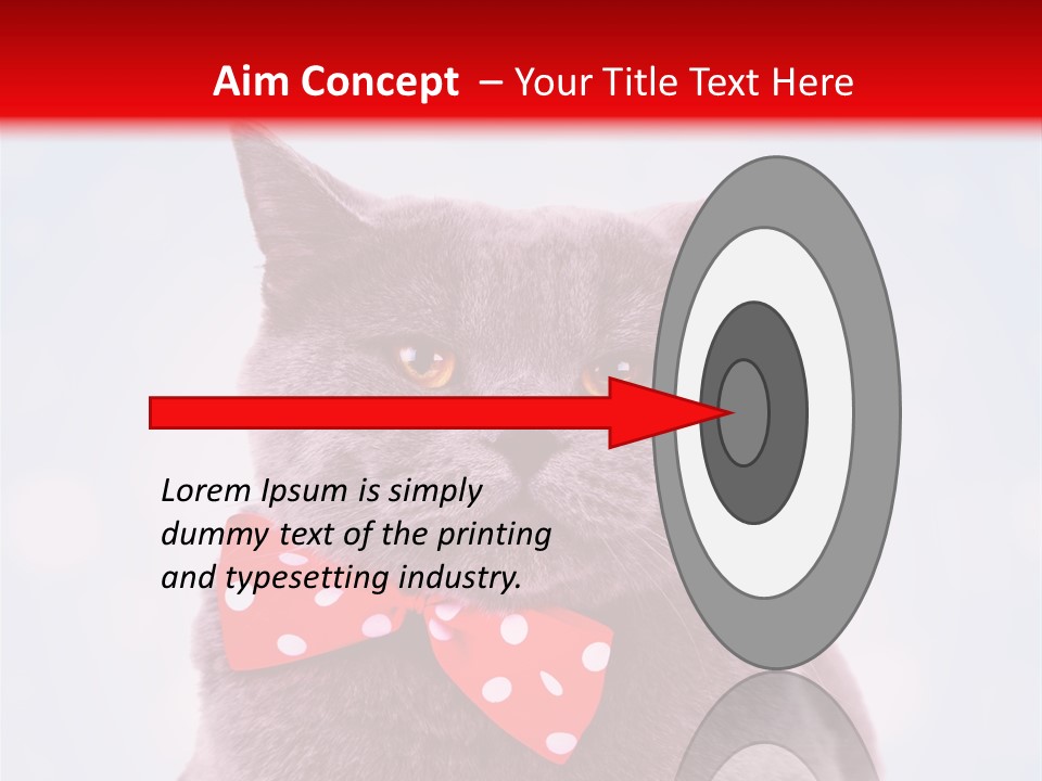 Whisker Kitten Isolated PowerPoint Template