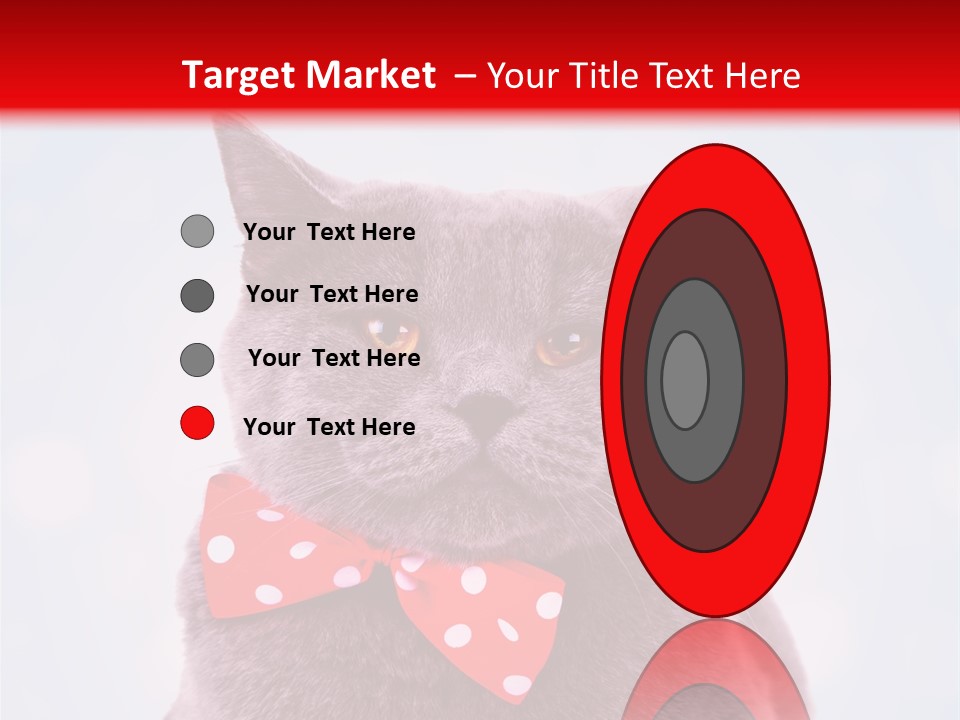 Whisker Kitten Isolated PowerPoint Template