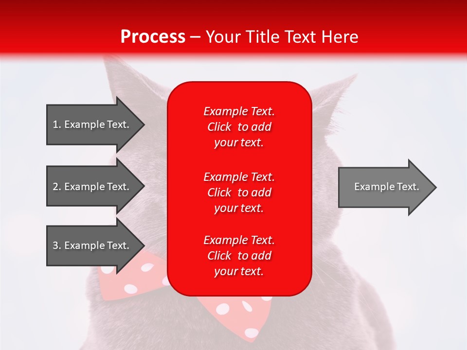 Whisker Kitten Isolated PowerPoint Template