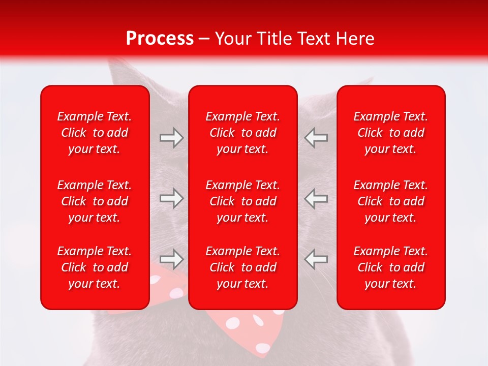 Whisker Kitten Isolated PowerPoint Template