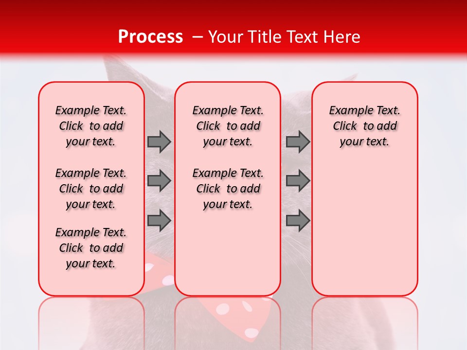Whisker Kitten Isolated PowerPoint Template