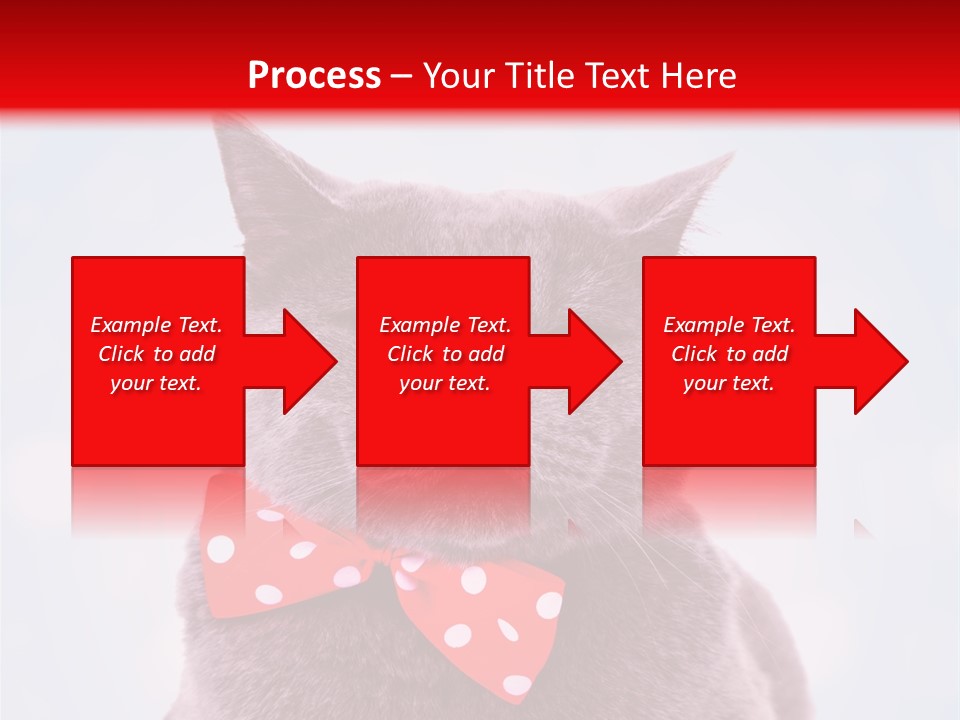 Whisker Kitten Isolated PowerPoint Template