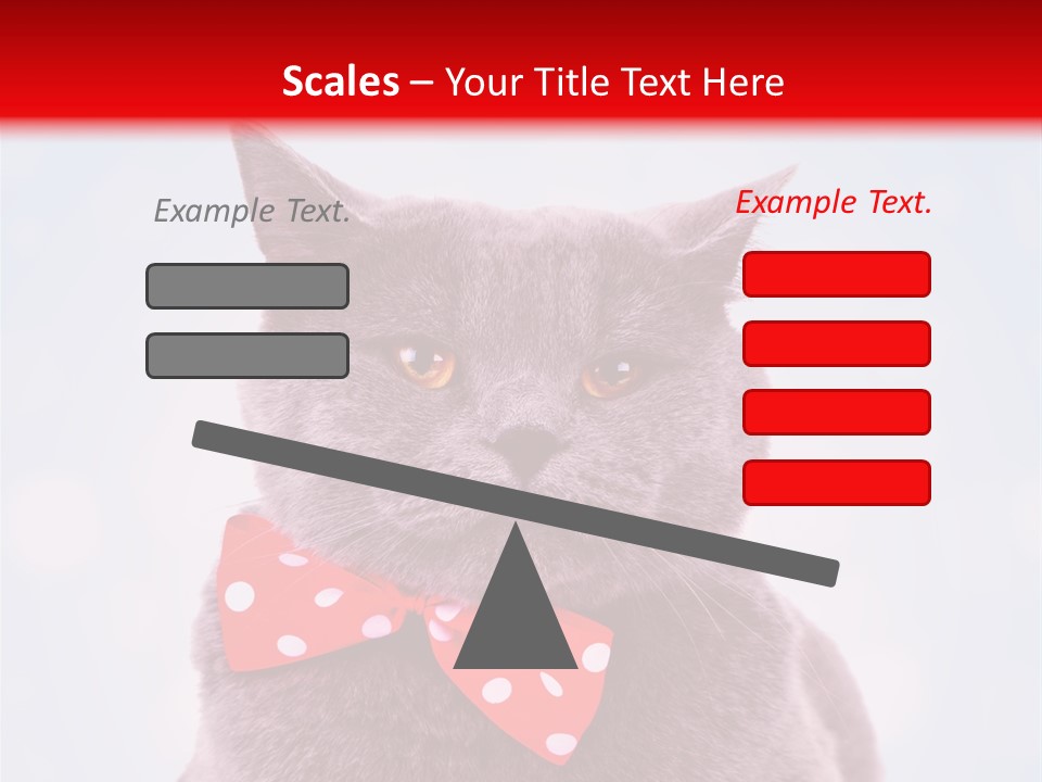 Whisker Kitten Isolated PowerPoint Template