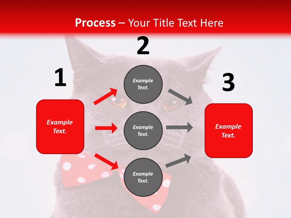 Whisker Kitten Isolated PowerPoint Template