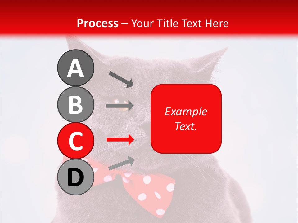 Whisker Kitten Isolated PowerPoint Template