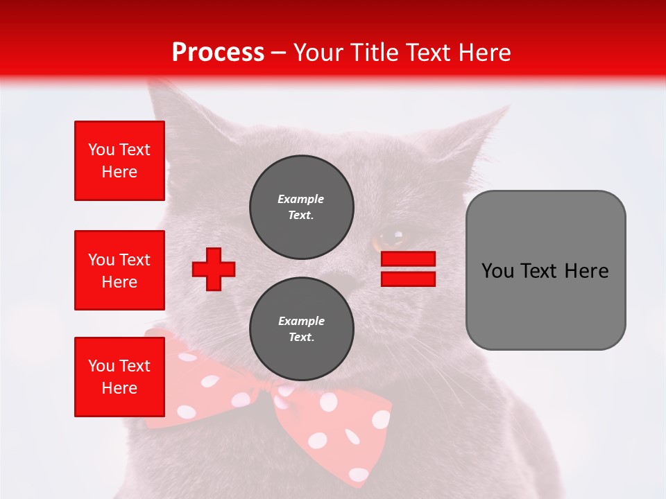 Whisker Kitten Isolated PowerPoint Template