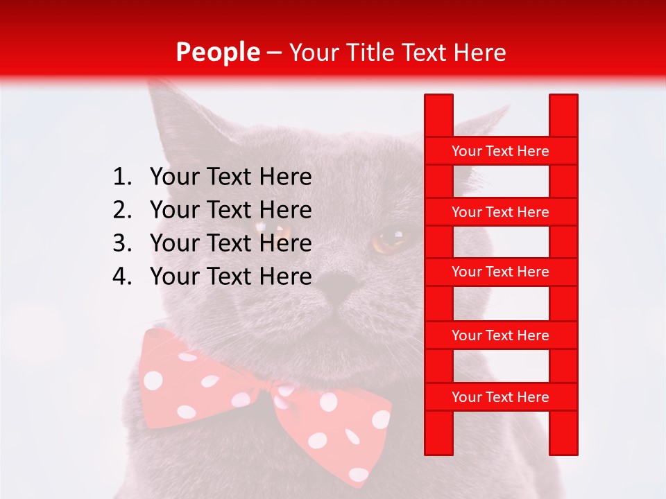 Whisker Kitten Isolated PowerPoint Template