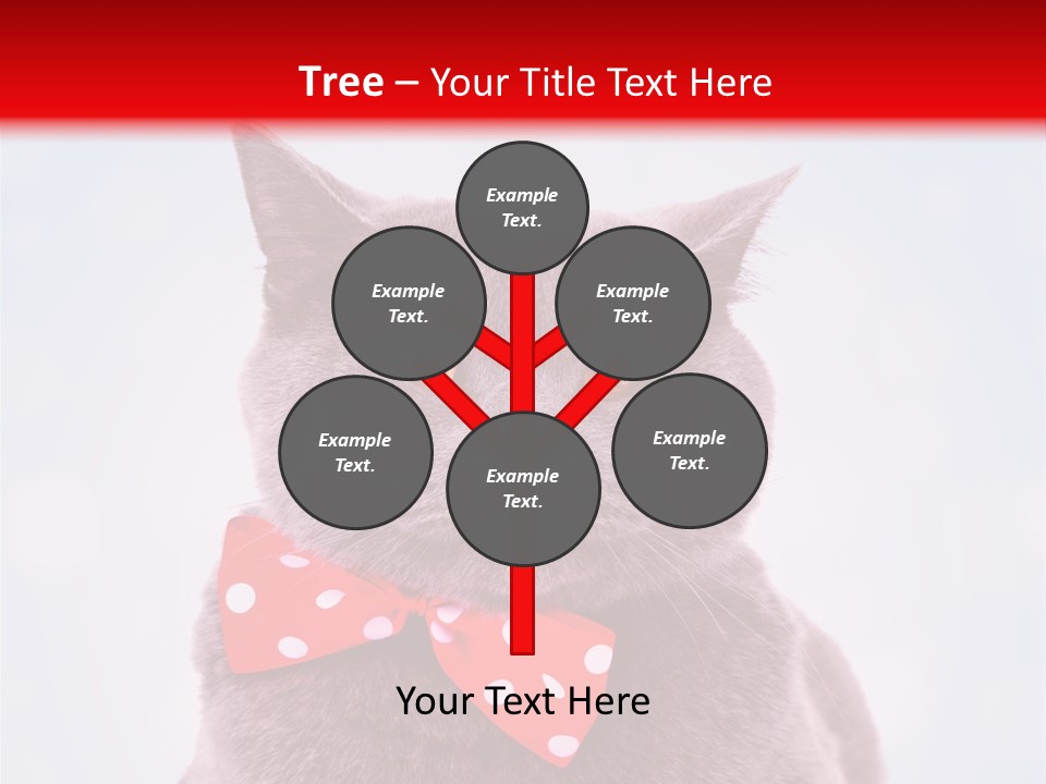 Whisker Kitten Isolated PowerPoint Template